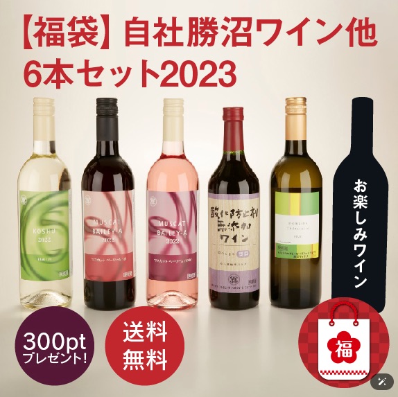 シャトレーゼ福袋2023（ワインセット）11000円