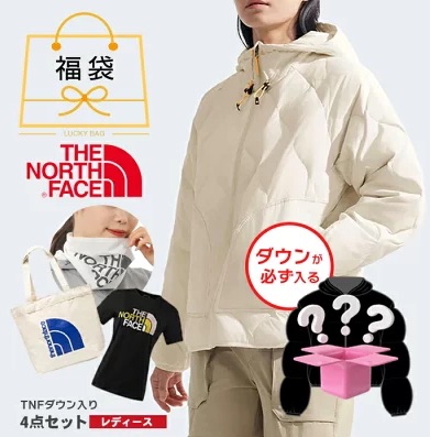 ノースフェイスTNFダウン入り4点セット